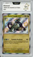 Motorizard 195/091 5