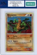 Simularbre 9/95